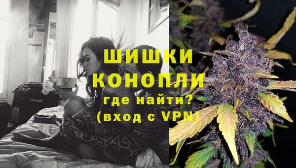 PSILOCYBIN Нея