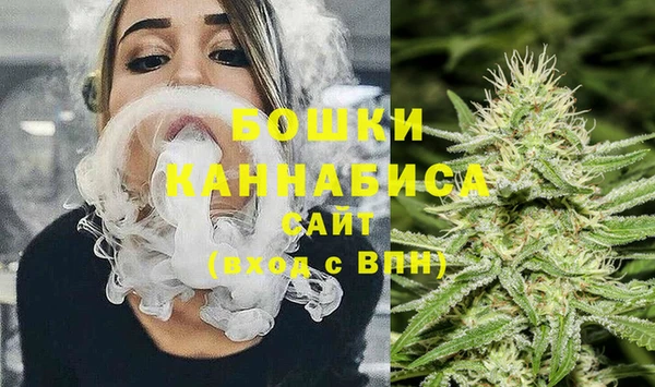 сатива Нефтекумск