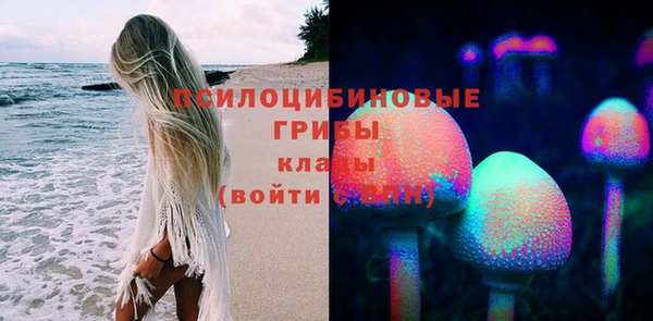 меф Нефтегорск