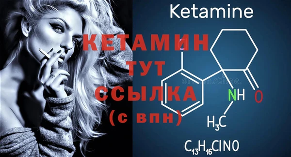 сатива Нефтекумск