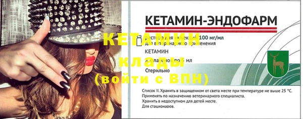 сатива Нефтекумск