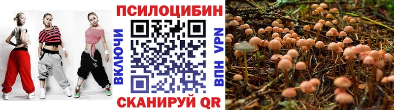 Псилоцибиновые грибы Psilocybe  Купить  Коряжма 